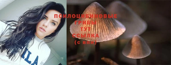 mdpv Лиски