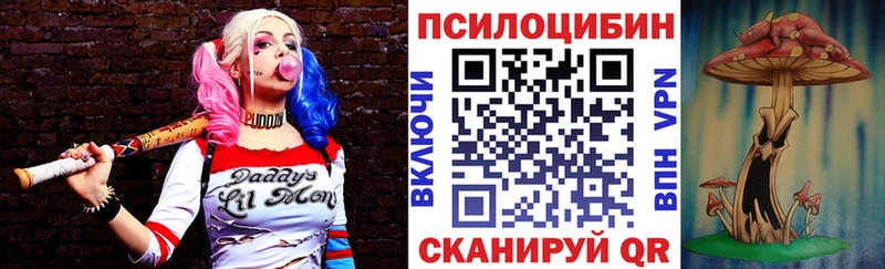 Псилоцибиновые грибы Psilocybe Прохладный