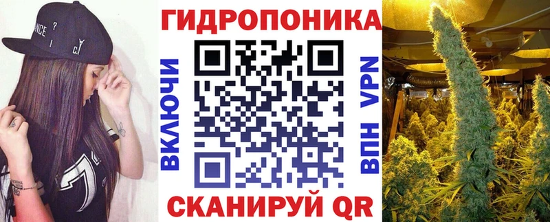 Шишки марихуана OG Kush Прохладный